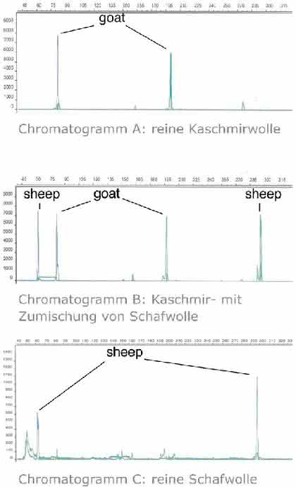 Fachbeitrag: Dem Fälscher auf der Spur
