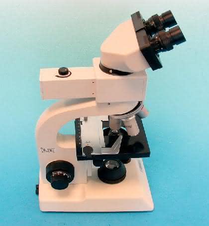 LED-Fluoreszenz-Illuminator: Fluoreszenz-Mikroskopie für Einsteiger