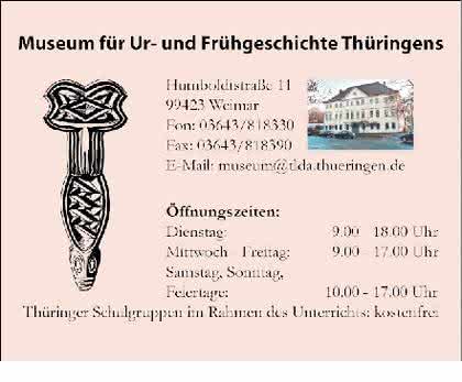 Fachbeitrag: Knochenfunde  geben Rätsel auf