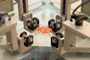 ACHEMA: Neue Biaxialprüfmaschine für die Biomechanik