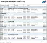 Software: Unternehmensweites Reporting