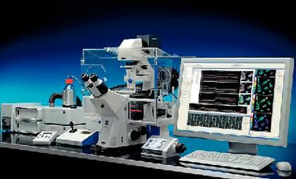 Mikroskopie-Software AxioVision 4.7: FRET-Experimente flexibler und schneller