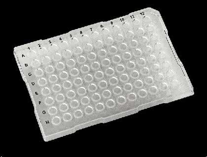 96-/384-Well-PCR-Platten: Hochwertige PCR-Platten