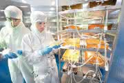 Panorama: Sartorius:  Biotechnologie-Sparte wächst weiter