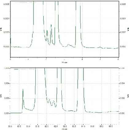 HPLC-Tipp: Das kann mit der Probe in der Säule passieren
