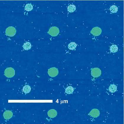Dip-Pen-Nanolithographie-System NScriptor: Biofunktionale DNA-Nanostrukturen