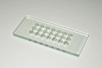 Mikrotestplatten aus Glas: Mikrotestplatte für mikroskopische Anwendungen Mikrotestplatten aus Glas: Mikrotestplatte für mikroskopische Anwendungen