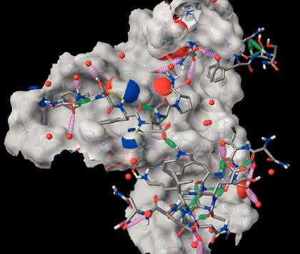 Micro-Array-Handling: Bestimmung allosterischer  Kinase-Inhibitoren
