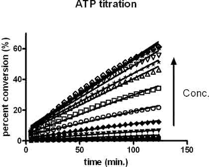 Micro-Array-Handling: Bestimmung allosterischer  Kinase-Inhibitoren