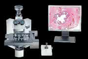 Virtuelles Mikroskopiesystem VS110: Digitales Imaging