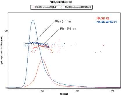 Fachbeitrag: Stabilität der Quartärstruktur eines Proteins Fachbeitrag: Stabilität der Quartärstruktur eines Proteins