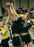 Wirtschaft + Unternehmen: Grundfos: Sponsor der Handball EM 2010