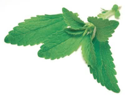 Stevia-Referenzsubstanzen: Referenzsubstanzen für Stevia