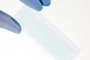 Peptidmicroarray-Plattform: Neue Peptidmicroarray-Plattform