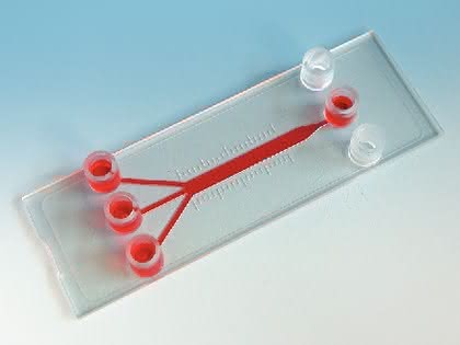 Träger für zellbasierte Assays: Träger für zellbasierte Assays