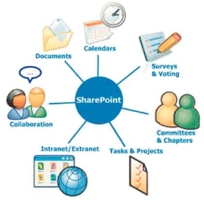 Wirtschaft + Unternehmen: Studie: Sharepoint  Server für ECM
