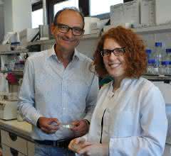 Professor Johannes Herrmann und seine Doktorandin Katja Hansen erforschen den Transport von Proteinen in die Mitochondrien.