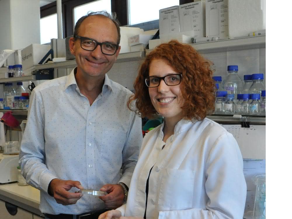 Professor Johannes Herrmann und seine Doktorandin Katja Hansen erforschen den Transport von Proteinen in die Mitochondrien.