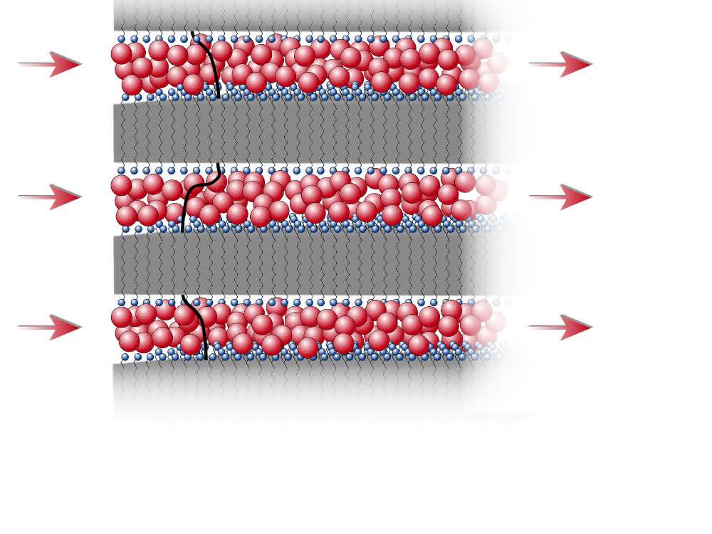 Schematische Zeichnung der Schichtstruktur aus Kunststoffschichten (grau hinterlegt; die Endgruppen der Molekülketten sind blau markiert) und dazwischenliegenden Ionen (rot). Schematische Zeichnung der Schichtstruktur aus Kunststoffschichten (grau hinterlegt; die Endgruppen der Molekülketten sind blau markiert) und dazwischenliegenden Ionen (rot).