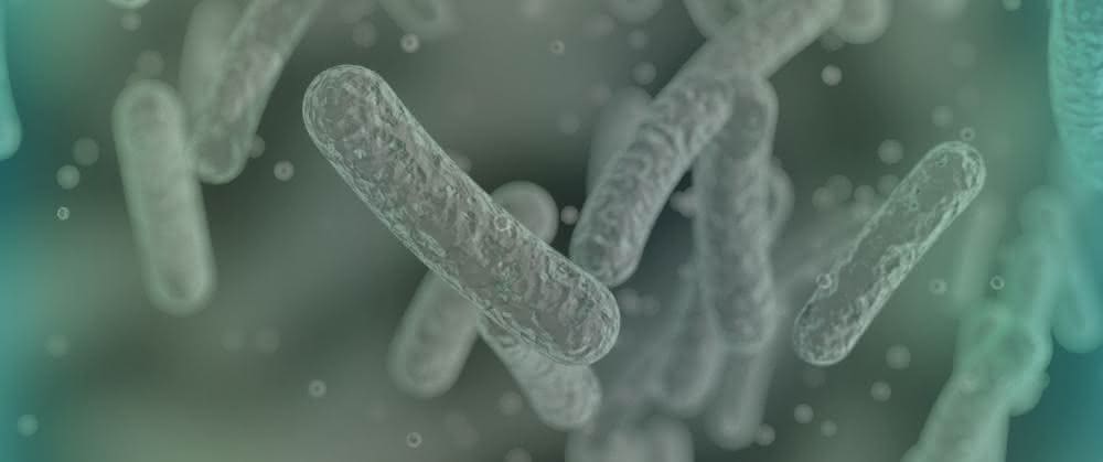 Mikrobielle Zellfabriken in Form von Stäbchenbakterien