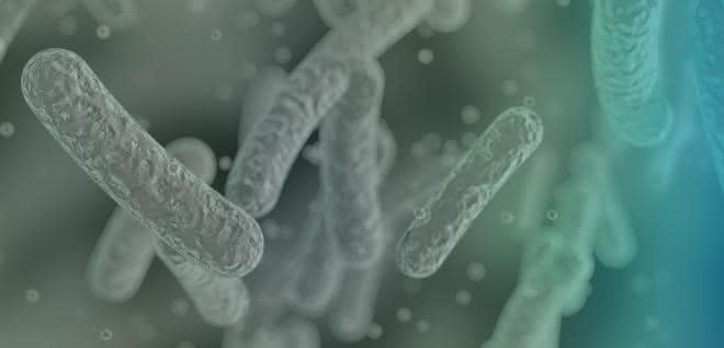Mikrobielle Zellfabriken sollen helfen, Biokunststoffe aus PLA (Polymilchsäure) kommerziell wettbewerbsfähig gegenüber Kunststoffen auf fossiler Basis zu machen. Mikrobielle Zellfabriken in Form von Stäbchenbakterien