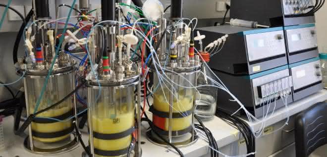 Bioreaktoren an der TU Wien