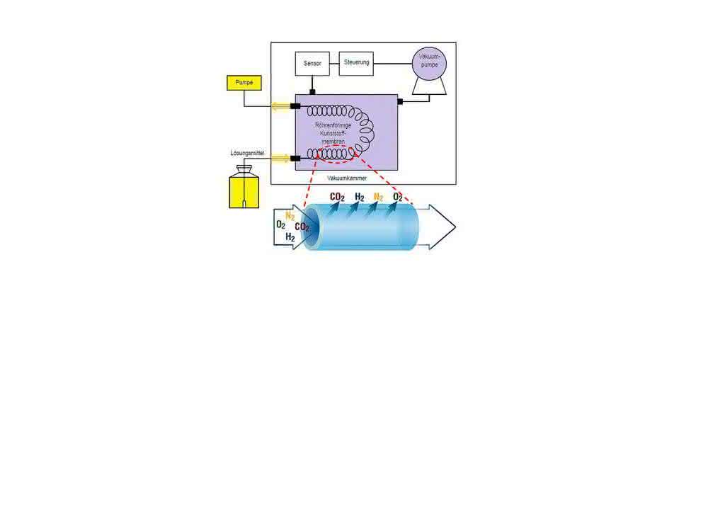 Bild 3: Schematische Darstellung eines Inline-Entgasers (Agilent Technologies) mit der Detailansicht des semipermeablen Teflon-AS-Schlauches.