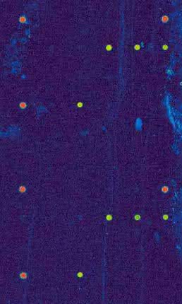 Parallele Detektion von Pathogenen in einem Mikrofluidiksystem
