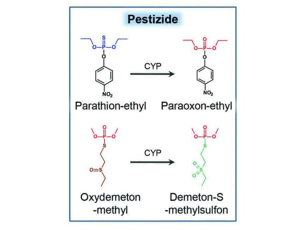 Phosphororganische Pestizide