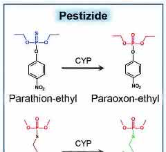 Phosphororganische Pestizide Phosphororganische Pestizide