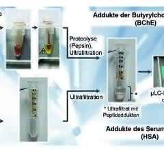 Probenvorbereitung von humanem Serum oder Plasma Probenvorbereitung von humanem Serum oder Plasma