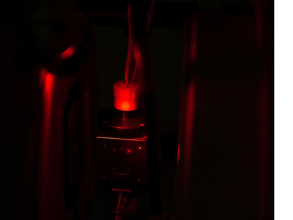 Phytochrome aus Pflanzen reagieren auf rotes und infrarotes Licht.