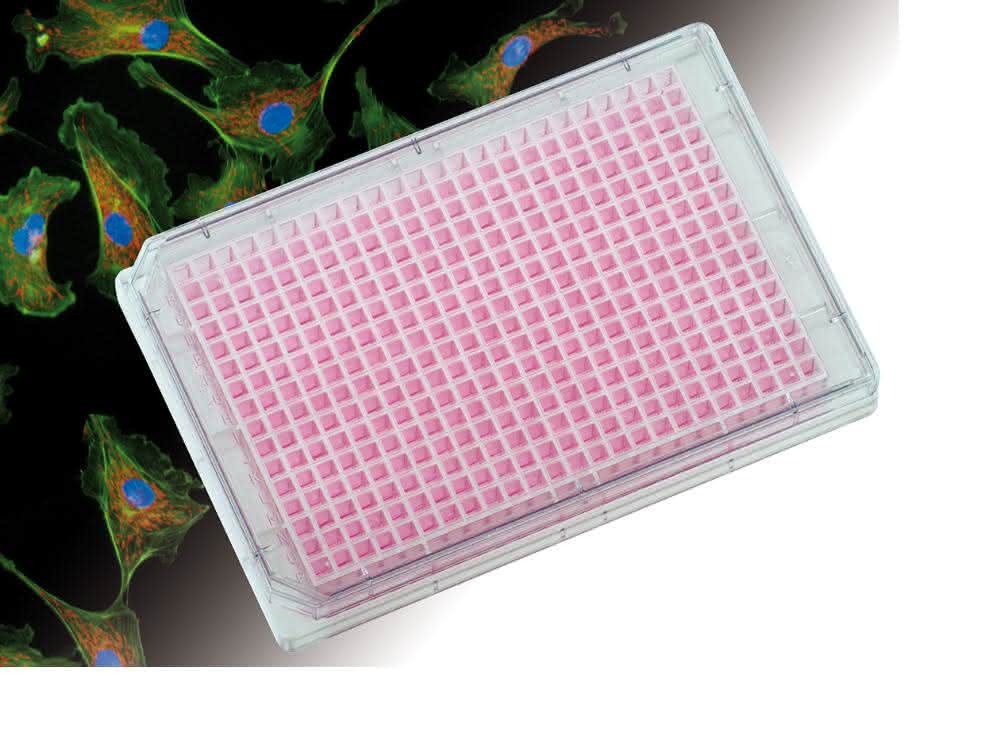 Die Mikrotiterplatte 384 Well Clear von Ibidi eignet sich auch fürs Imaging.