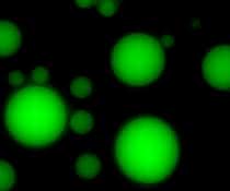 Membranfreie Mikrotröpfchen (Koazervate) unter dem Mikroskop. Die grüne Fluoreszenz dient als Nachweis für die enzymatische Aktivität der eingeschlossenen RNA. Membranfreie Mikrotröpfchen (Koazervate) unter dem Mikroskop.
