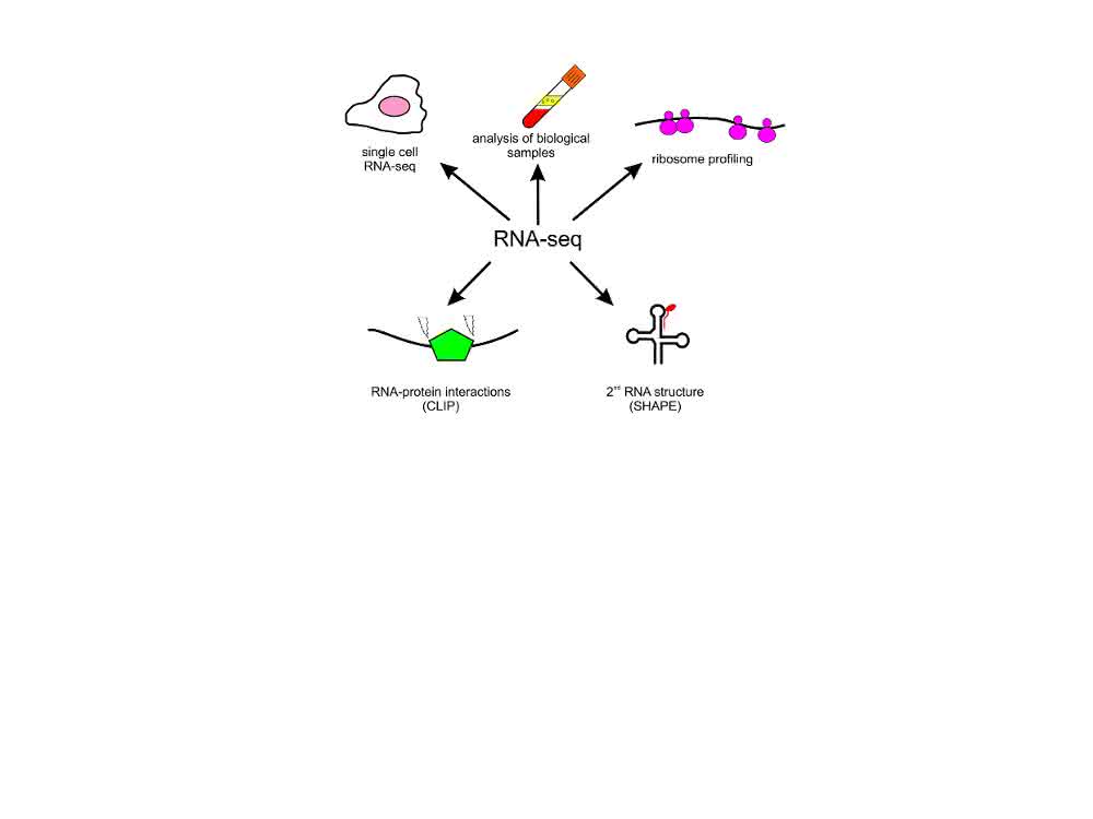 Bild 1: Anwendungen der RNA-Seq-Technologie in der Grundlagen- und klinischen Forschung.