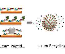 Elektronik-Schrott recyceln: Mit Peptiden Seltene Erden gewinnen Elektronik-Schrott recyceln: Mit Peptiden Seltene Erden gewinnen