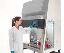 Die Thermo Fisher HeraSafe 2030i Sicherheitswerkbank.