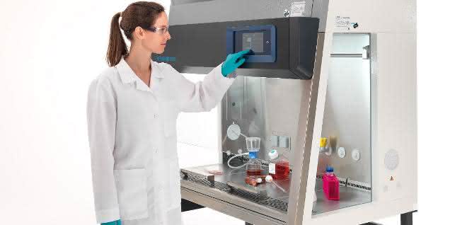 Sichere Zellkultivierung: Biologische Sicherheitswerkbank Die Thermo Fisher HeraSafe 2030i Sicherheitswerkbank.