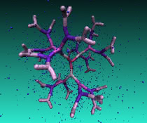 DNA-basiertes Dendrimer der fünften Generation, eingetaucht in eine Gegenionenlösung. Regelmäßige Hohlräume im Inneren dieses neuartigen Makromoleküls können als Nanoteilchen-Träger eingesetzt werden.