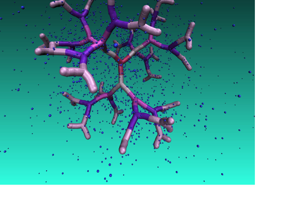 DNA-basiertes Dendrimer der fünften Generation, eingetaucht in eine Gegenionenlösung. Regelmäßige Hohlräume im Inneren dieses neuartigen Makromoleküls können als Nanoteilchen-Träger eingesetzt werden.