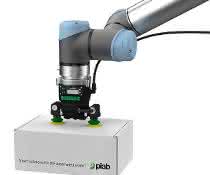Picobot