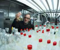 Prof. Dr. Georg Pohnert von der Uni Jena entdeckte mit seinem Team eine von Algen produzierte schwefelhaltige chemische Verbindung. Prof. Dr. Georg Pohnert von der Uni Jena entdeckte mit seinem Team eine von Algen produzierte schwefelhaltige chemische Verbindung.