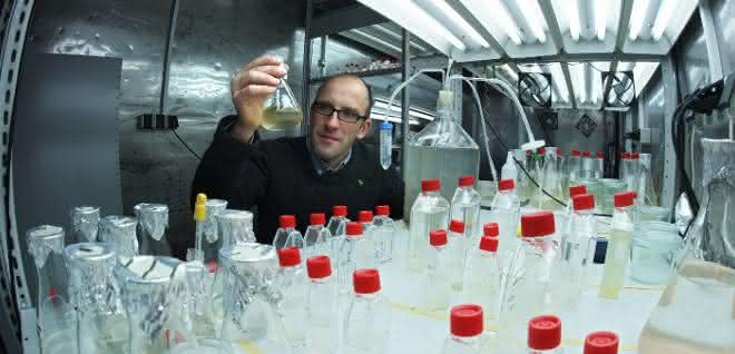 Prof. Dr. Georg Pohnert von der Uni Jena entdeckte mit seinem Team eine von Algen produzierte schwefelhaltige chemische Verbindung.