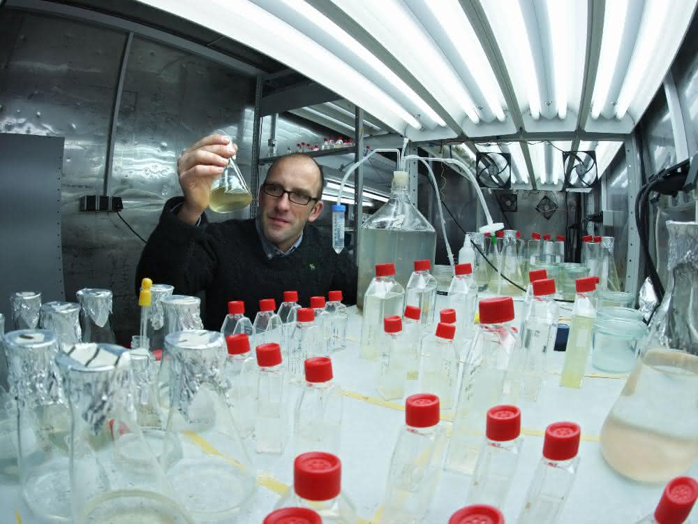 Prof. Dr. Georg Pohnert von der Uni Jena entdeckte mit seinem Team eine von Algen produzierte schwefelhaltige chemische Verbindung.