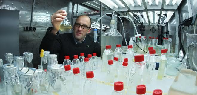 Prof. Dr. Georg Pohnert von der Uni Jena entdeckte mit seinem Team eine von Algen produzierte schwefelhaltige chemische Verbindung.