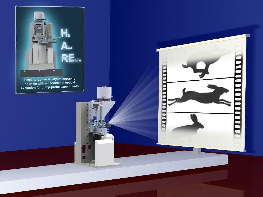Die “Hit-and-return” (HARE) Methode vereinfacht es, Biomoleküle bei der Arbeit zu beobachten. Die “Hit-and-return” (HARE) Methode vereinfacht es, Biomoleküle bei der Arbeit zu beobachten.