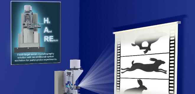 Die “Hit-and-return” (HARE) Methode vereinfacht es, Biomoleküle bei der Arbeit zu beobachten. Die “Hit-and-return” (HARE) Methode vereinfacht es, Biomoleküle bei der Arbeit zu beobachten.
