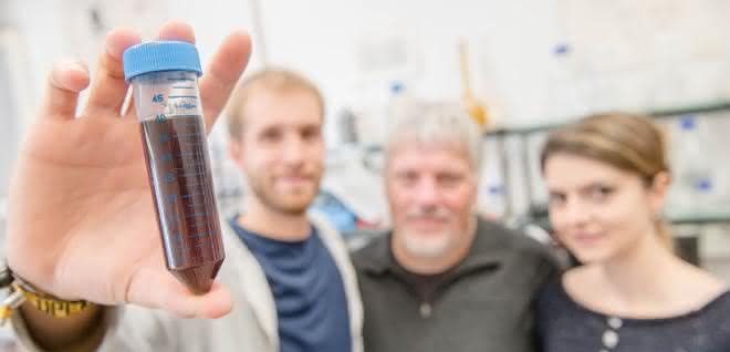 Diesen Metallpartikeln in Lösung haben Forscherinnen und Forscher eine besondere Eigenschaft verpasst. Diesen Metallpartikeln in Lösung haben Forscherinnen und Forscher eine besondere Eigenschaft verpasst.