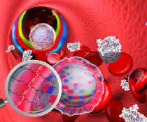 Nanopartikel im Blut: Die "Tarnkappe" verhindert, dass sich Blutbestandteile anheften. Nanopartikel im Blut: Die "Tarnkappe" verhindert, dass sich Blutbestandteile anheften.