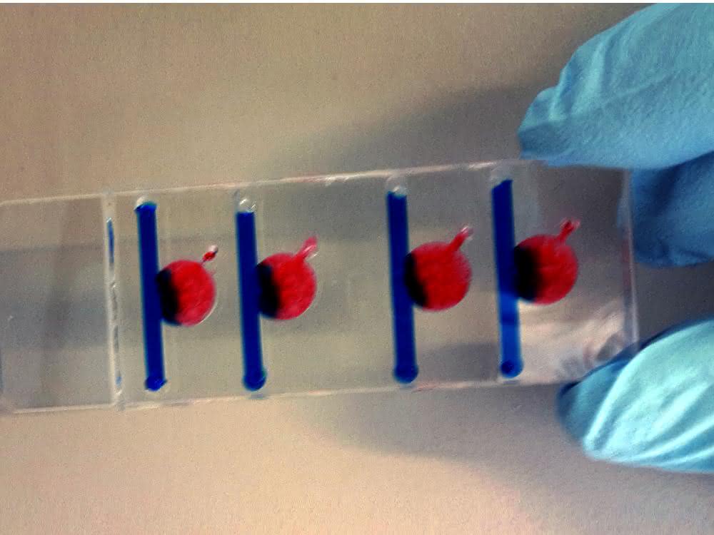 Biochip